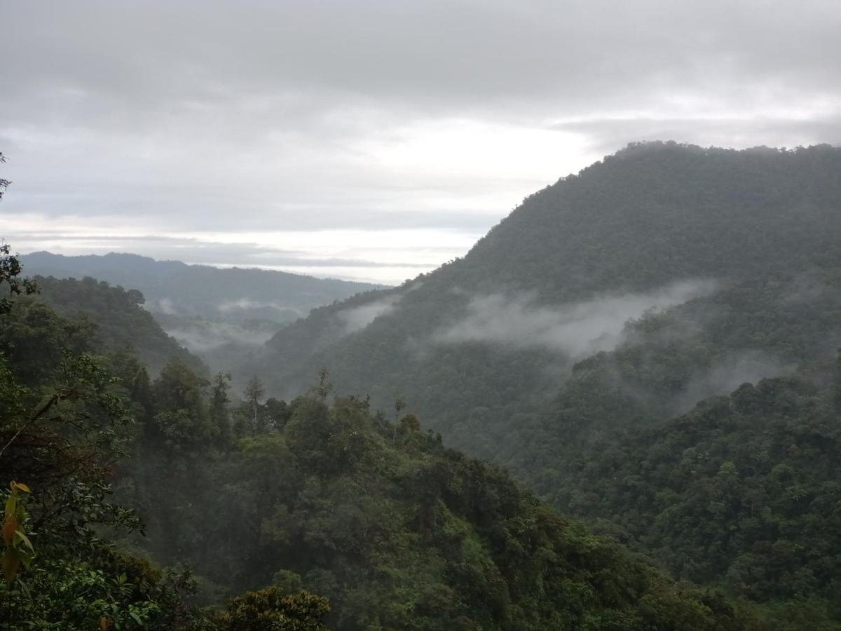 Biohostal Mindo Cloud Forest Kültér fotó